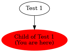 Graph of models related to 'Child of Test 1' 